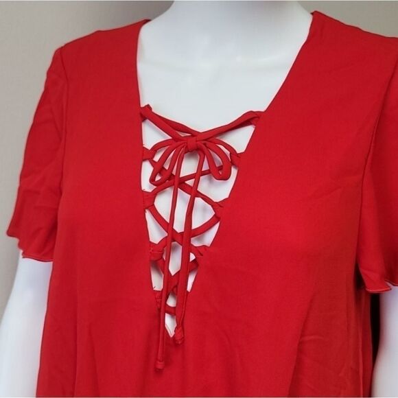 Nwot SMYM Kylie Lace Swing Mini Dress - Picture 2 of 7